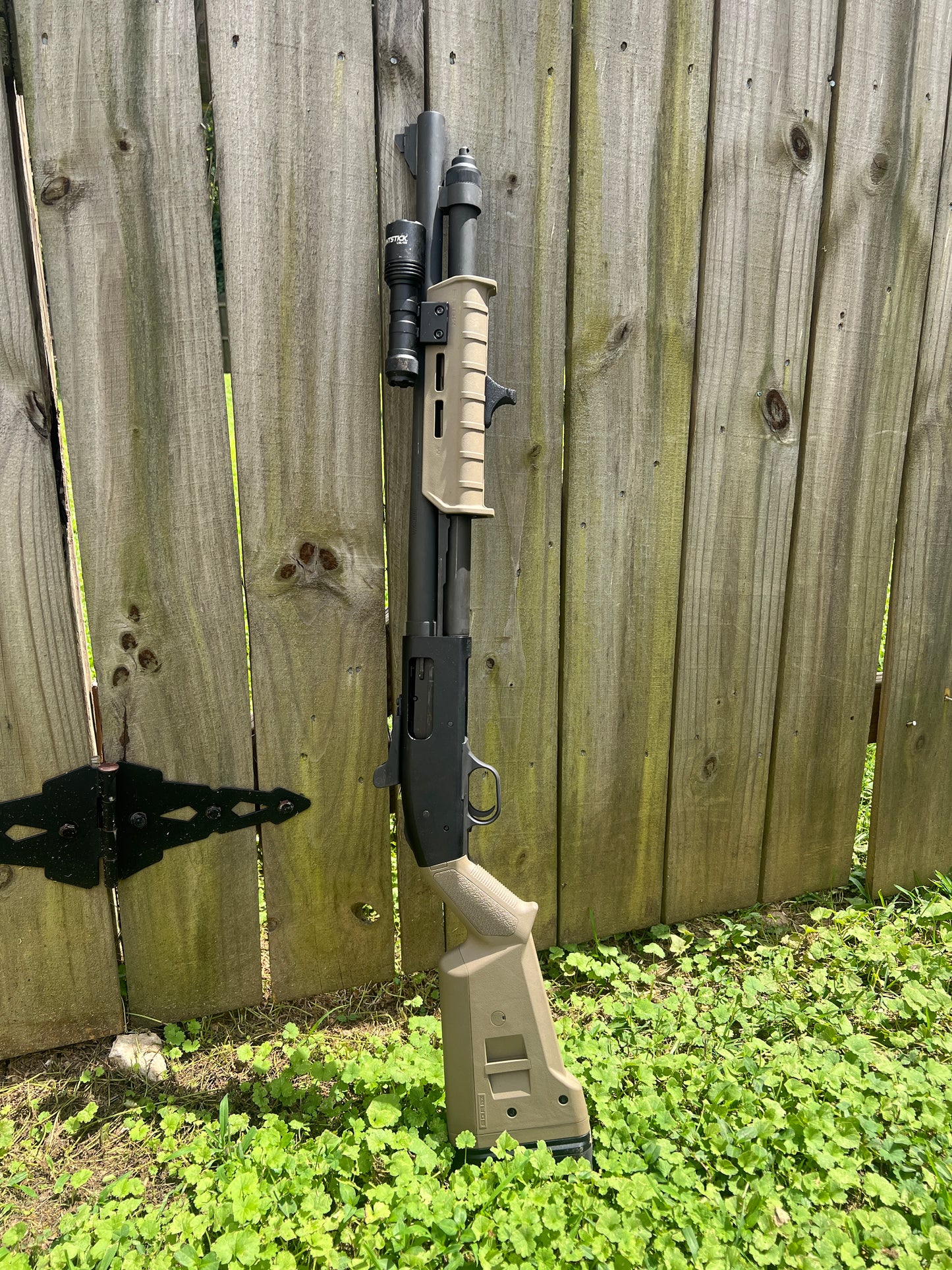 Tiger Tooth: A Deadly M-Lok Hand Stop